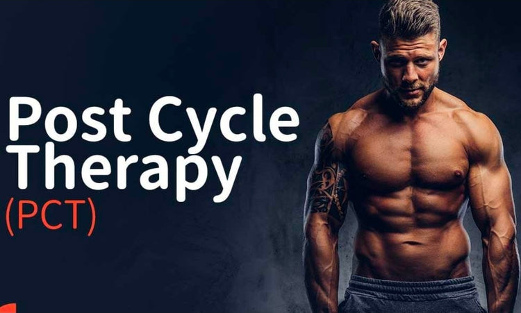 Pct post cycle therapy