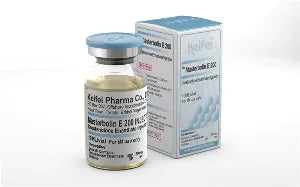 Masterbolin E 200 — Drostanolone Enanthate